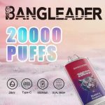 Bang Leader 20000 20K Puffs Newest Product Disposable Vape