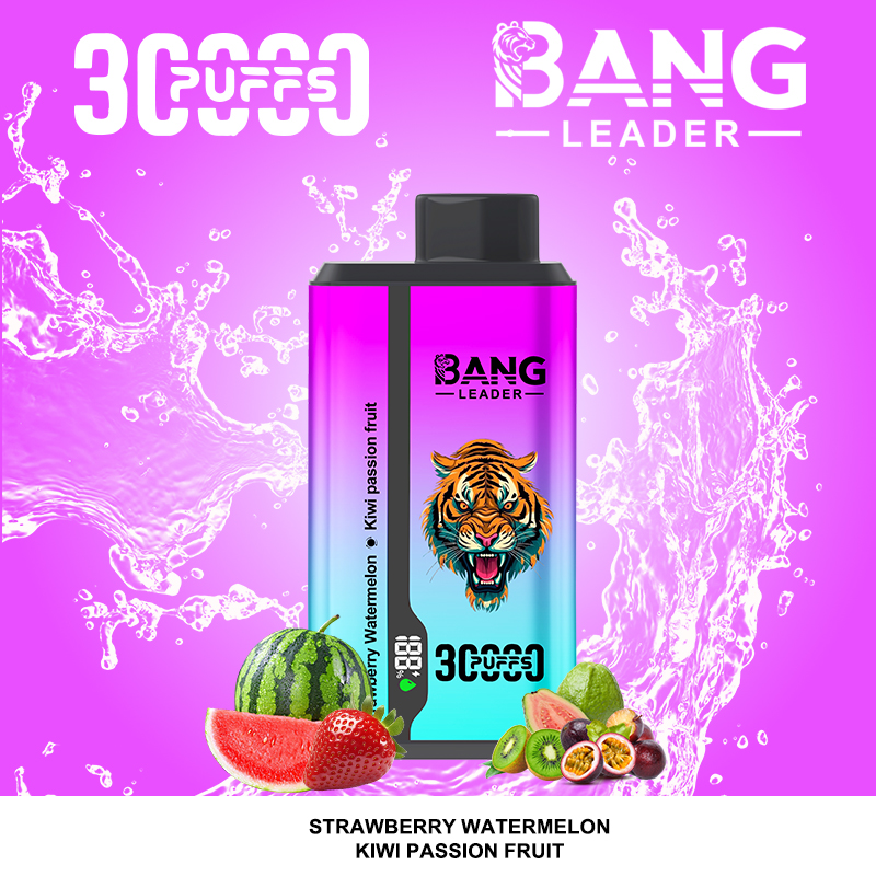 Bang Leader 30000 Puffs 2 in 1 Dual Flavors Disposable Vape 36ml 0-5% Nicotine - Image 4